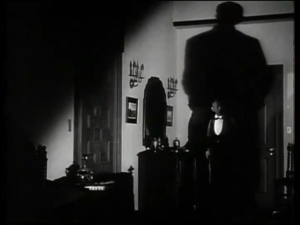SCARY NIGHT AT THE BIJOU (double feature)