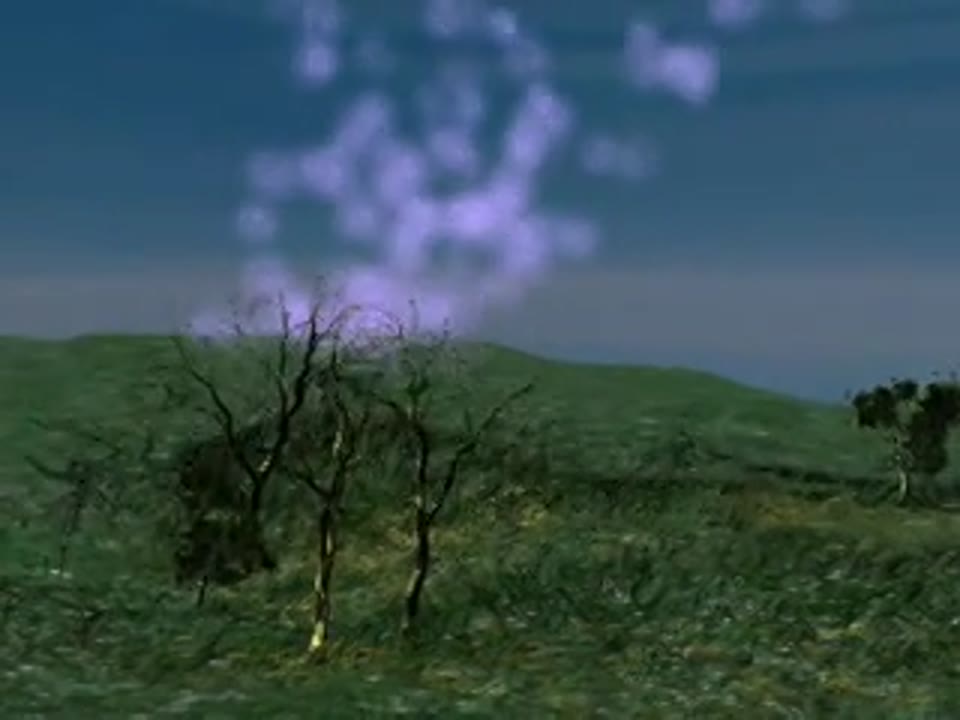 Carbon Cycle