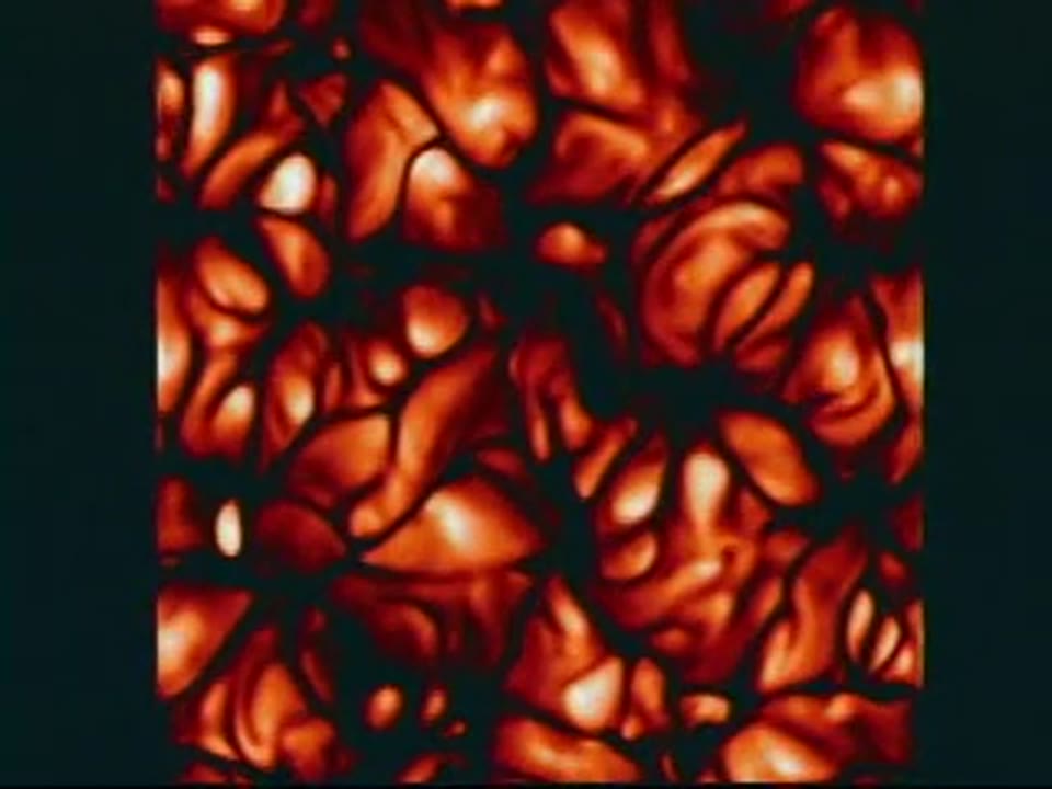 Solar Dynamo