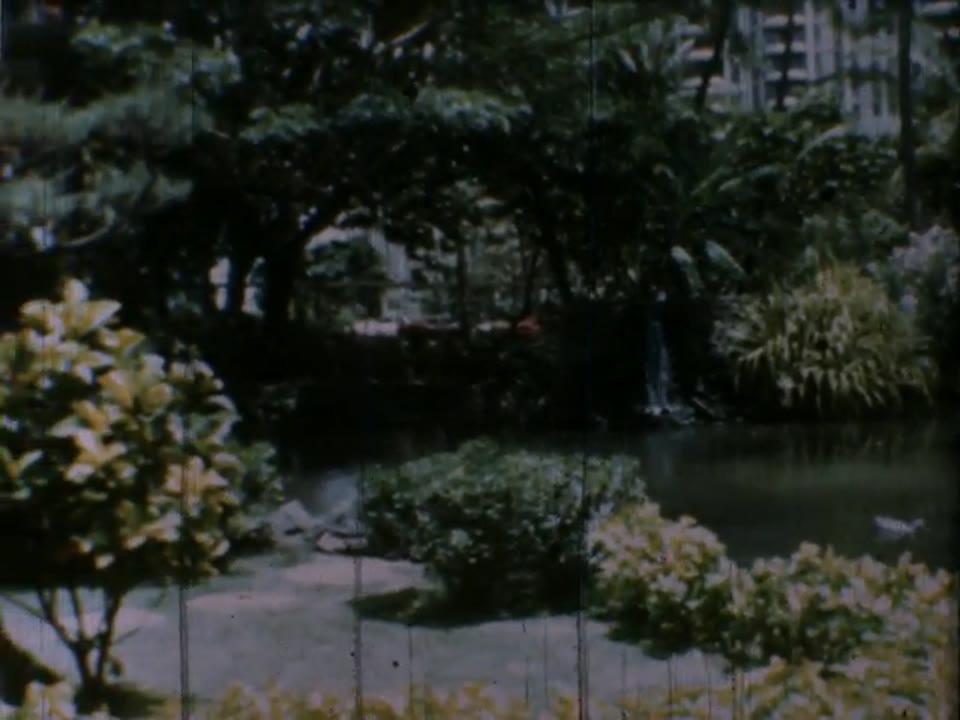 Home Movie: 97351: Hawaii