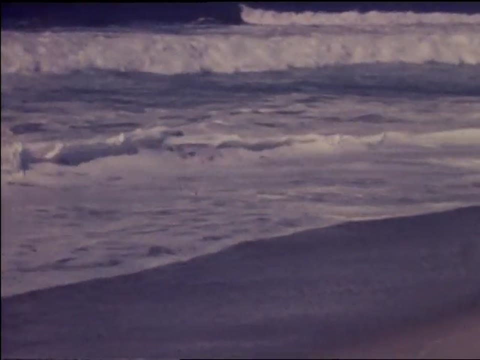 Clean Oceans, Clean Shores