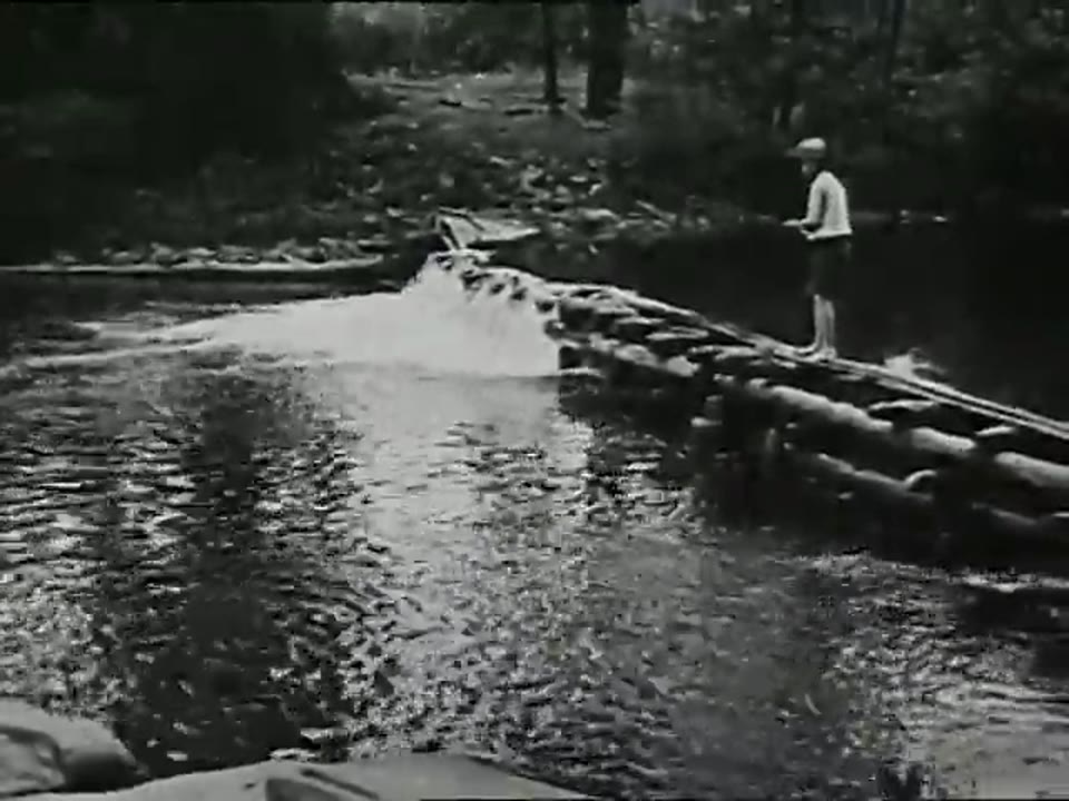 Day at the River: A Film Lesson in Nature Study, A