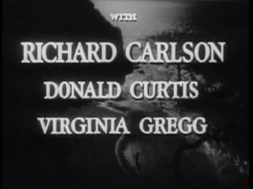 Amazing Mr. X, The