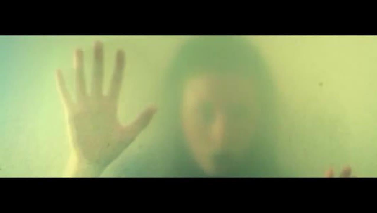 Moonbeam feat. Avis Vox - Disappearance (Official video)