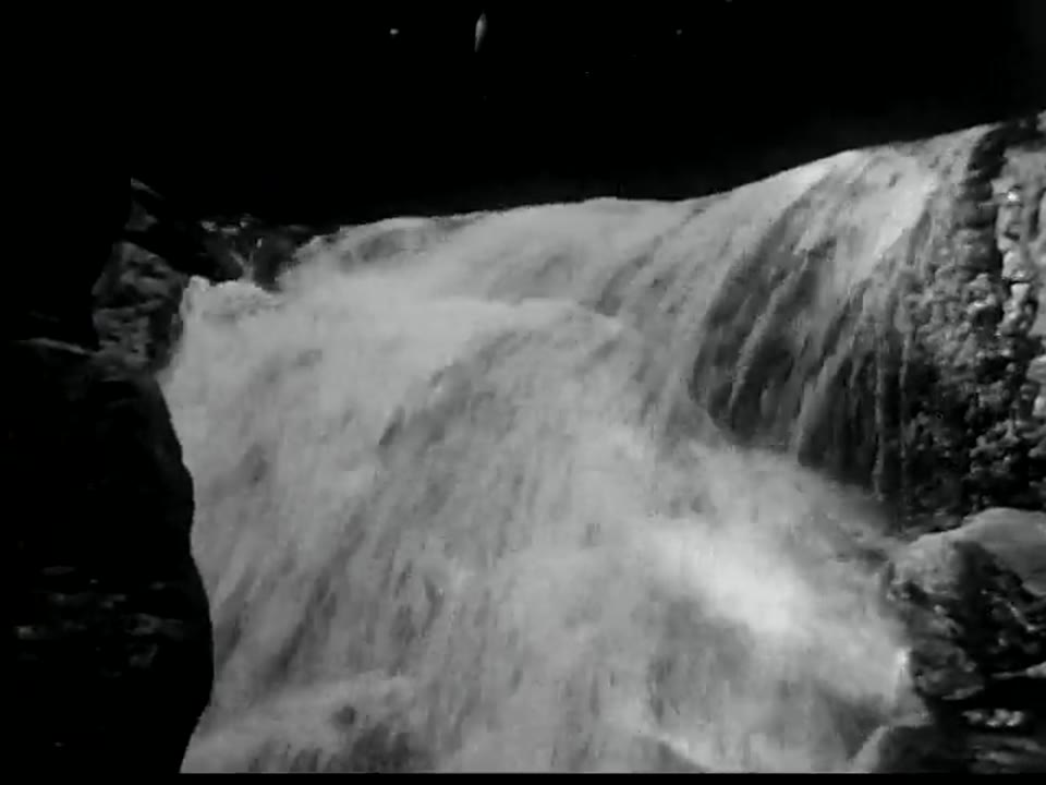 [Home Movies: Unidentified]
