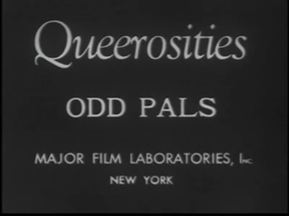 Queerosities - Odd Pals