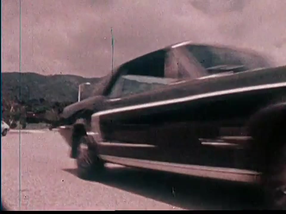 Wild at the Wheel