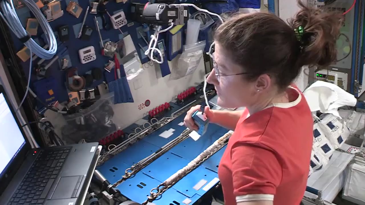 ISS-Downlink-Video_Veggie-Harvest_HD-DL-5_2019_096_1350_10285_1188802.mxf