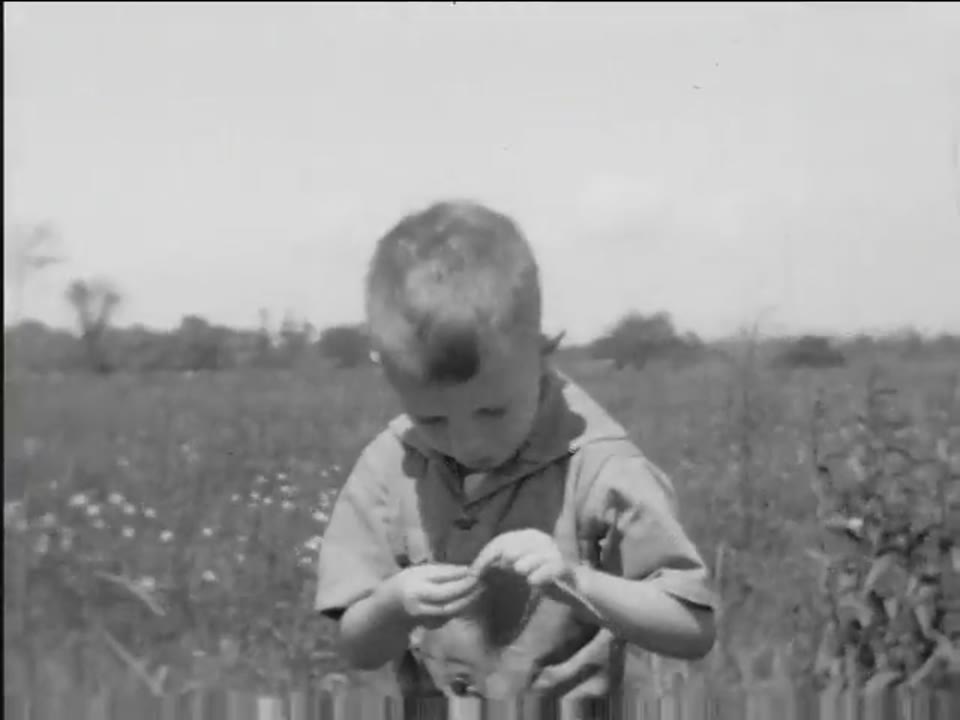 [Home Movies: Can 10324: Family, 1931]