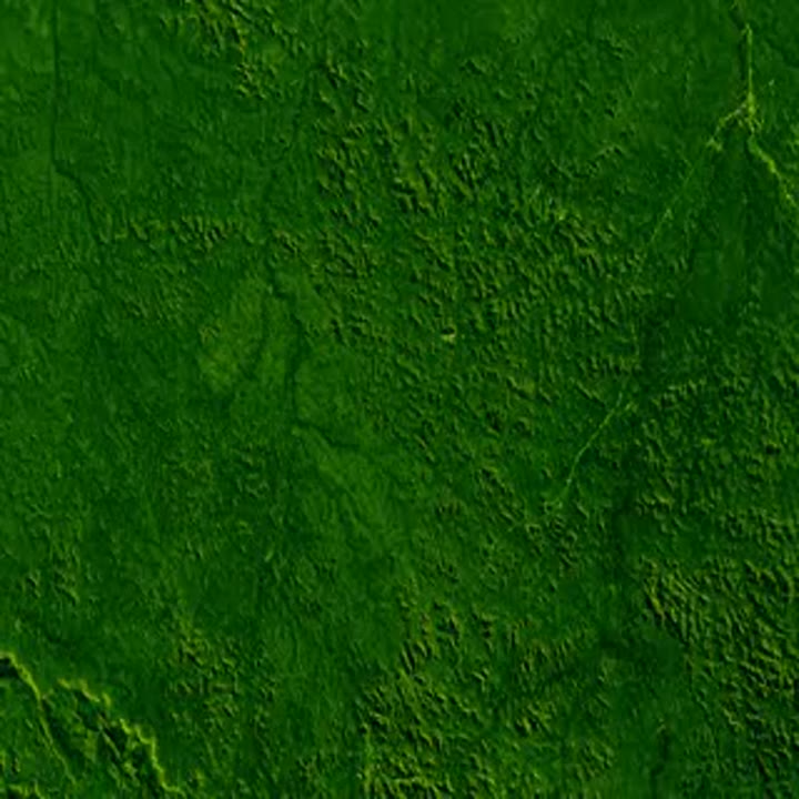 Rondonia Deforestation (WMS)