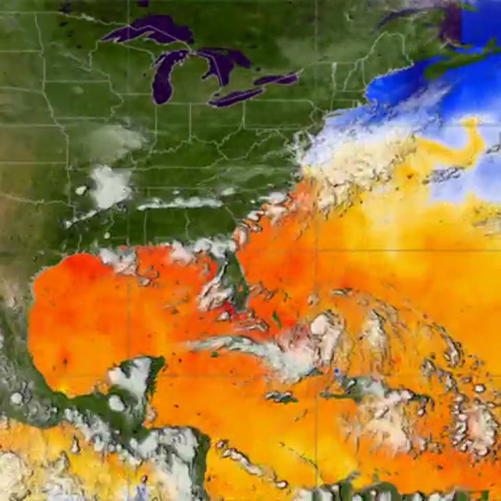 Hurricane Katrina Sea Surface Temperature (WMS)