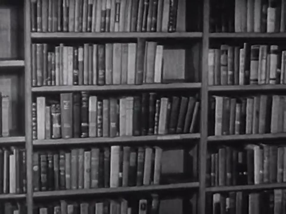 Librarian, The