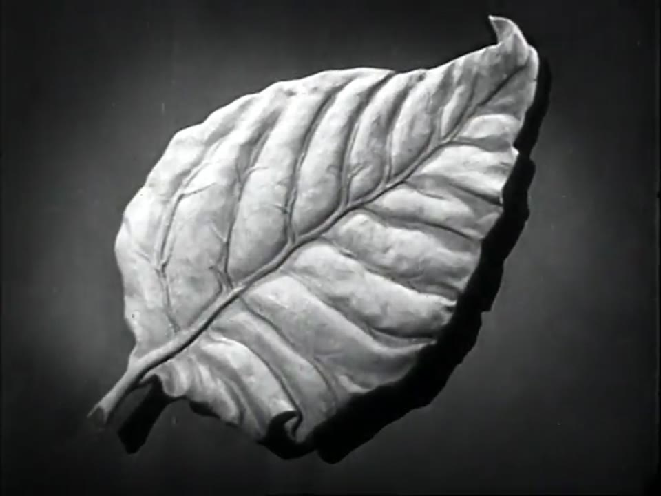 Lucky Strike Cigarette Commercial: Marching Cigarettes