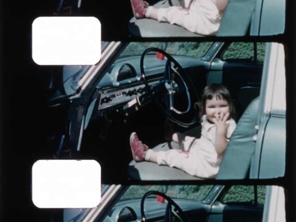 Home Movie: Koura Collection: 006121