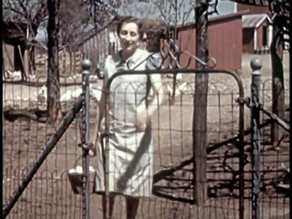 Victory Gardens
