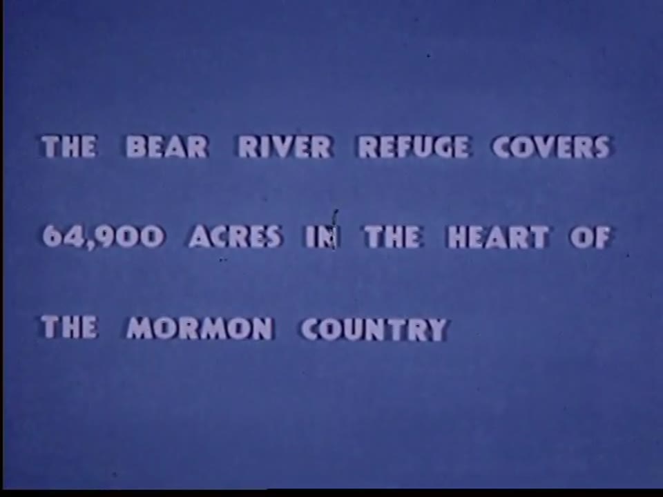 Bear River National Wildlife Refuge