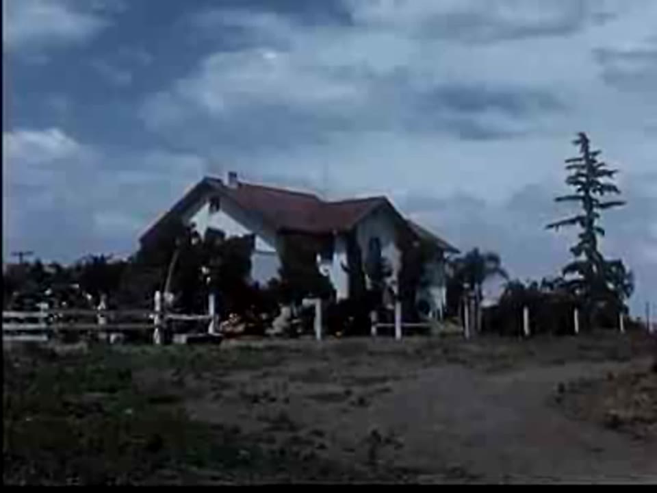 Pony Farm, The