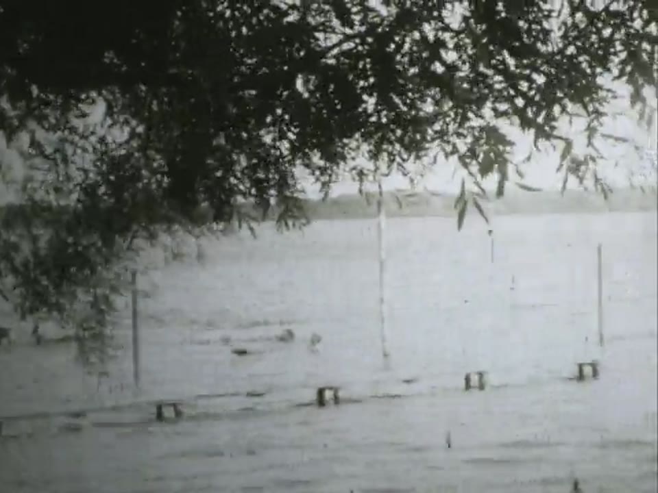 Home Movie: 10116: Detroit