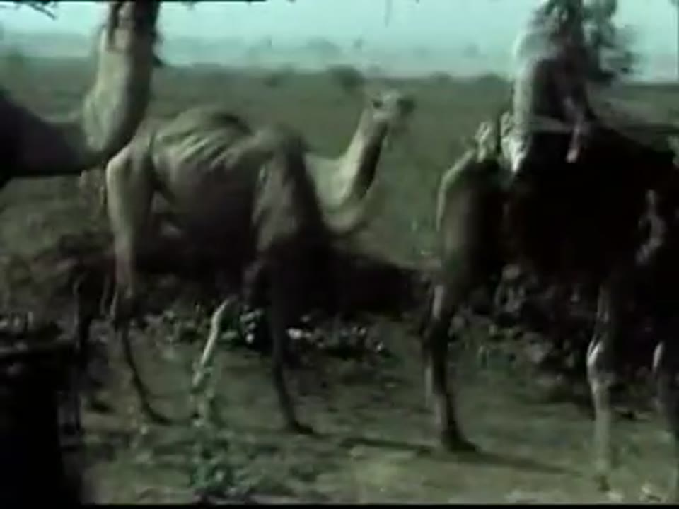 [Home Movies: Wathen Collection: Asia]