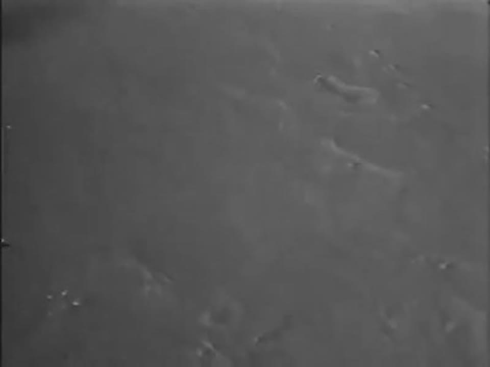 Carnival Of Souls Trailer