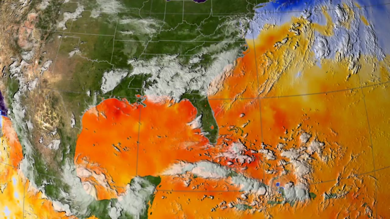 Hurricane Katrina Sea Surface Temperature