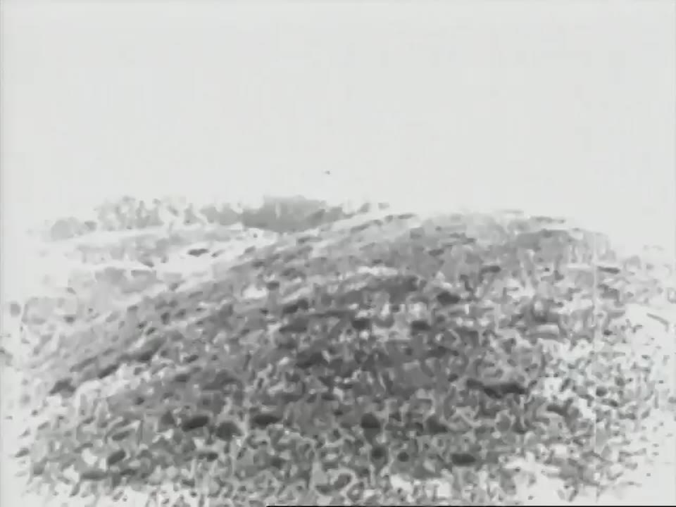 [Mount Tamalpais Gravity Railroad]