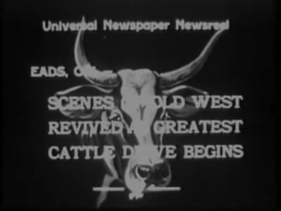 Gigantic Cattle Drive Starts, 1933/10/16