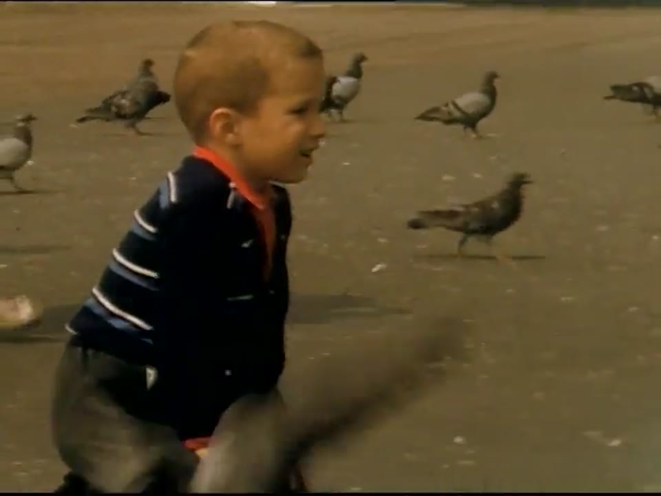 [Home Movies: Atlantic City]