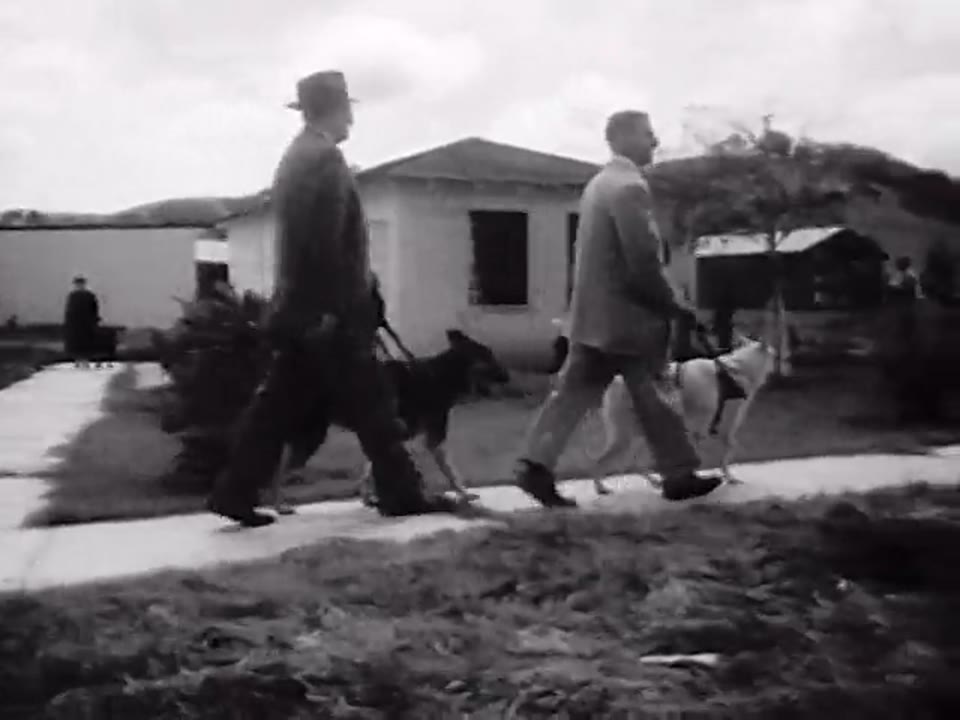 [Guide Dogs for the Blind]