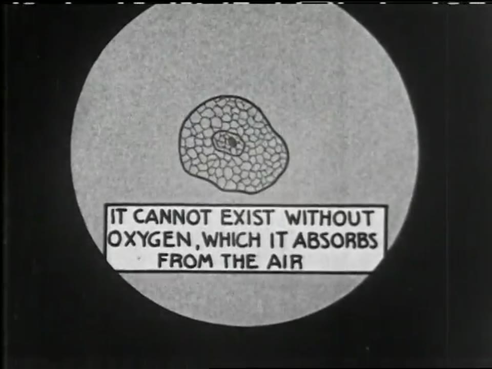 How We Breathe