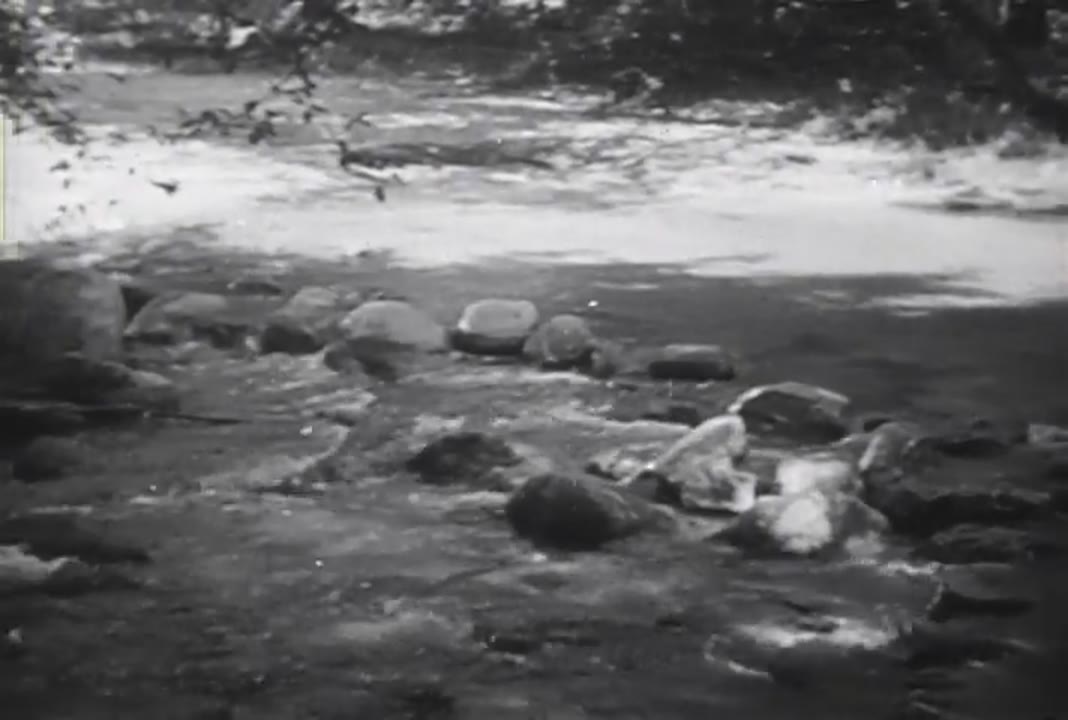 Saga of Death Valley (1939)