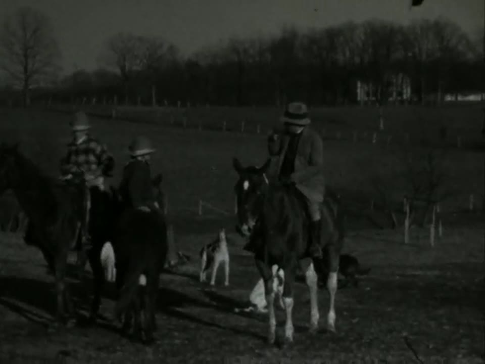 Home Movie: 98619: Family Activities