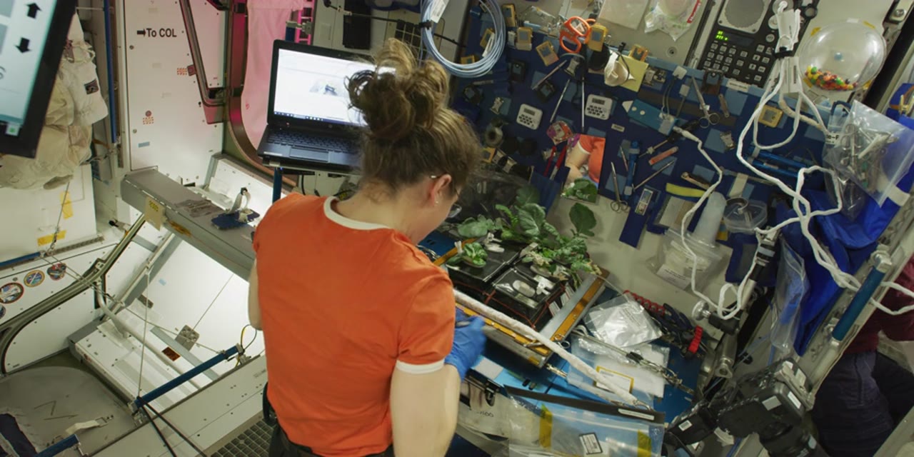 8k_Koch_ISS_science
