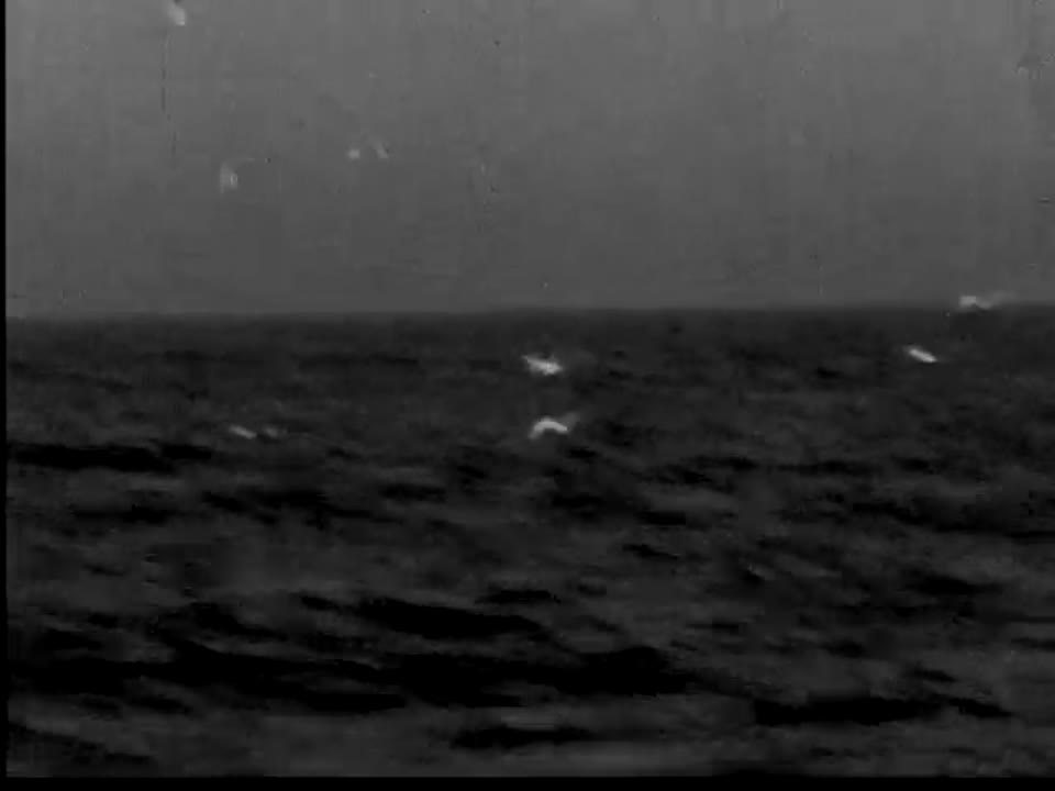 [Home Movies: Sport fishing off Fire Island]
