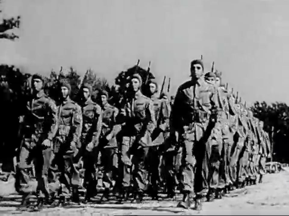 Paratroops