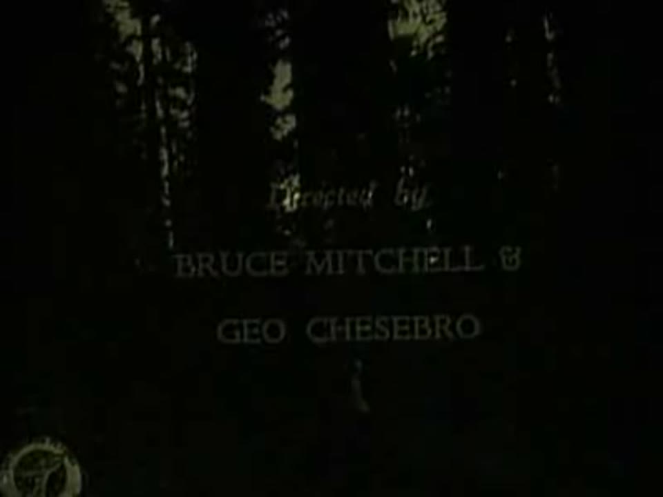 Wolf Blood 1925