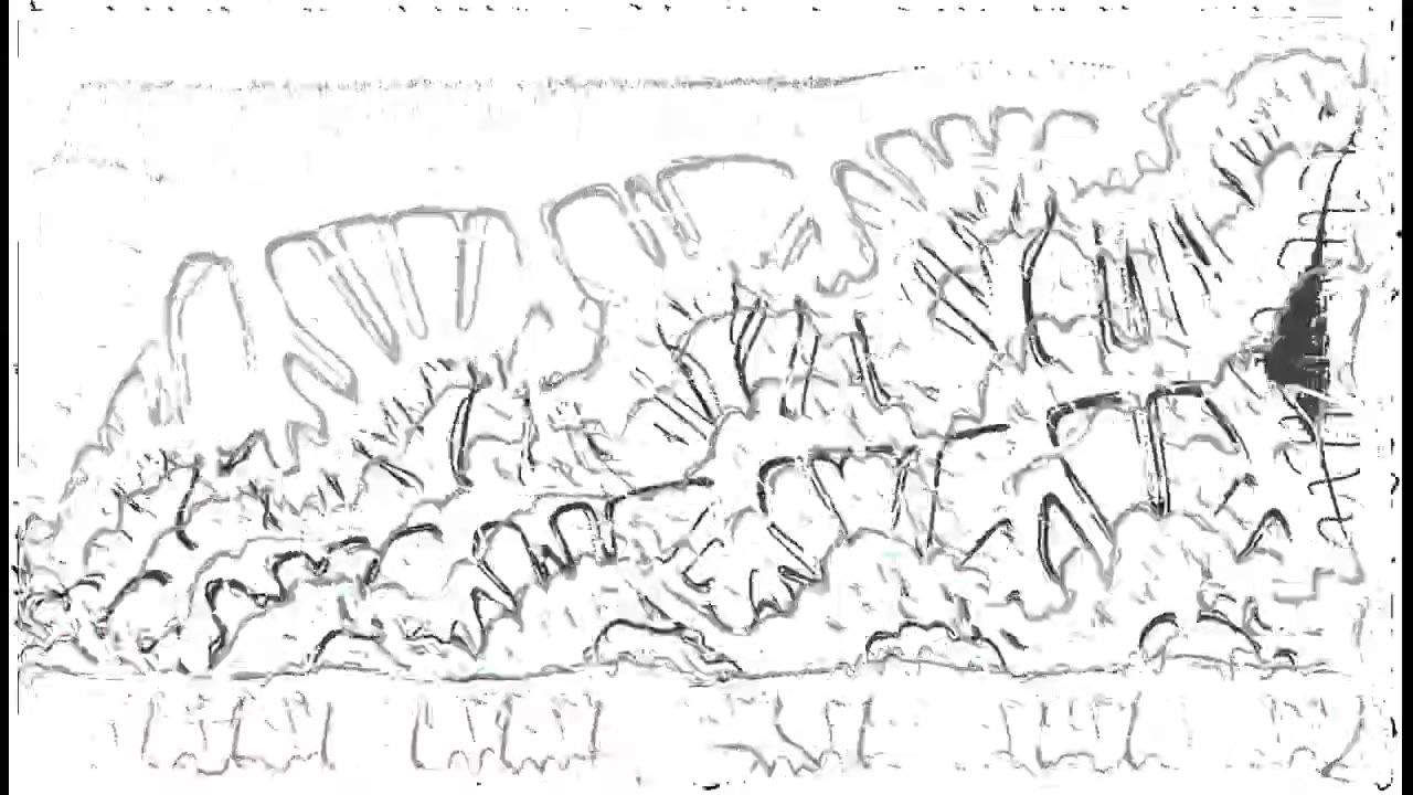 Uncertainty parameter #6