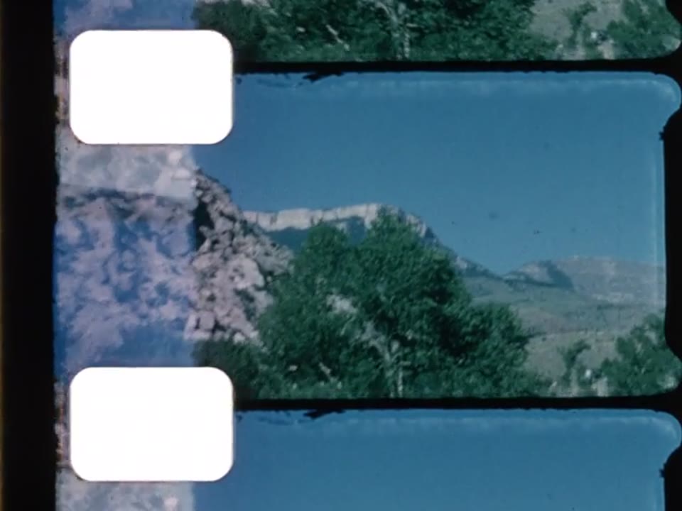 Home Movie: 010962