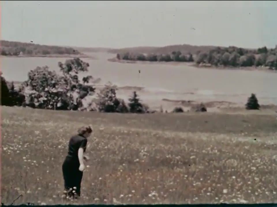 [Home Movies: Seck Collection: Reel 7]