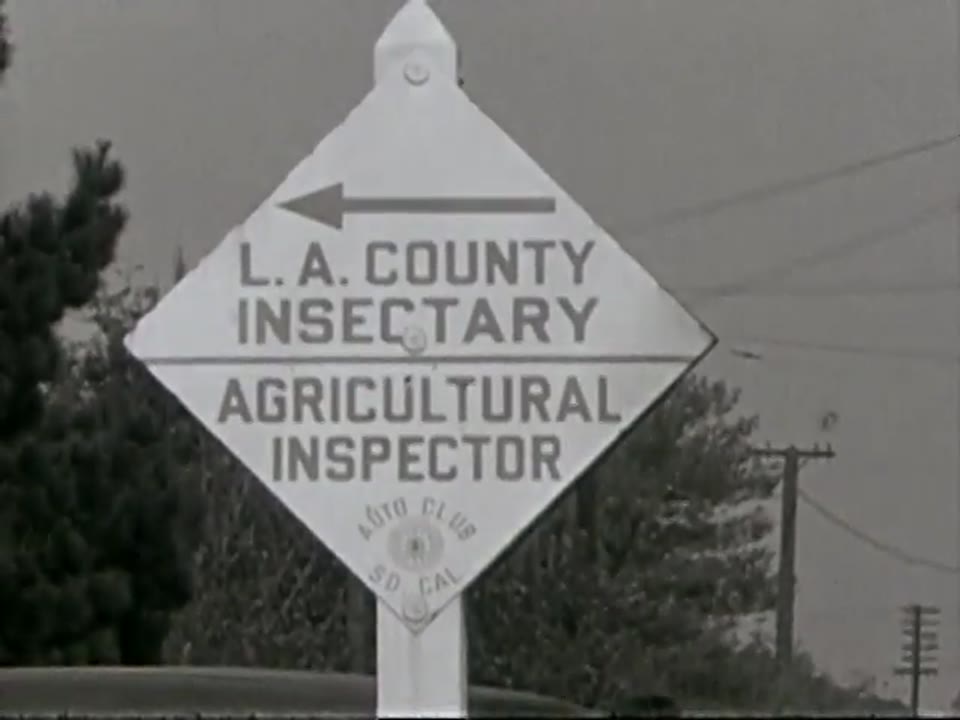 Queer Farms: The Ladybird Farm, The Lion Farm,