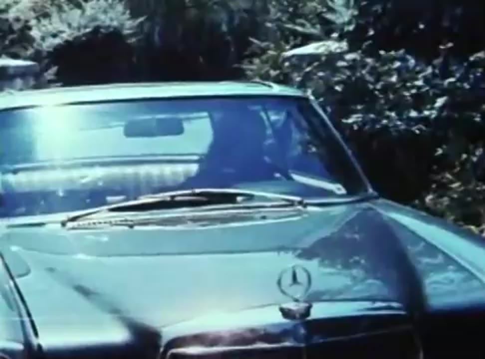 The Witches Mountain (1973)