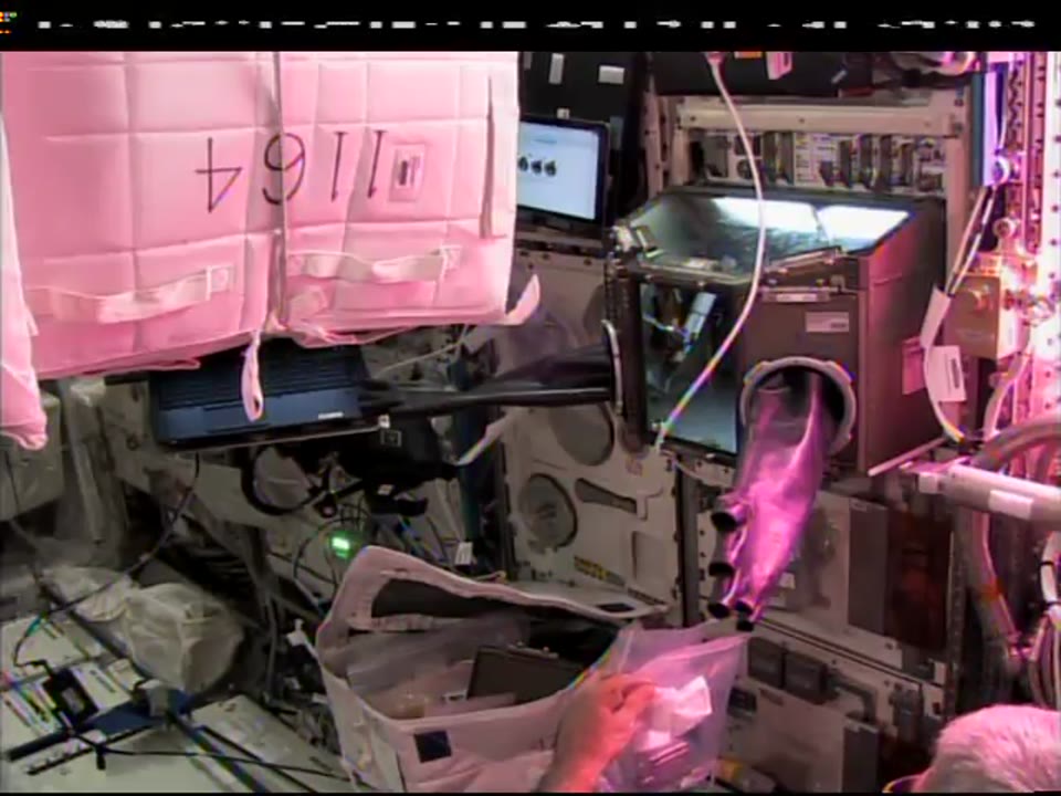 ISS-Downlink-Video_Vande-Hei-Arthrospira-EC-Reservoir-Exchange_DL-5_2018_003_1122_602840.mxf