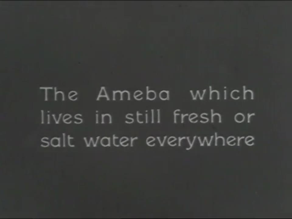 Man: A Film Lesson in "General Science"