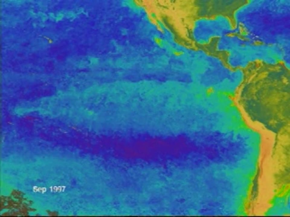 SeaWiFS Biosphere: Pacific Ocean