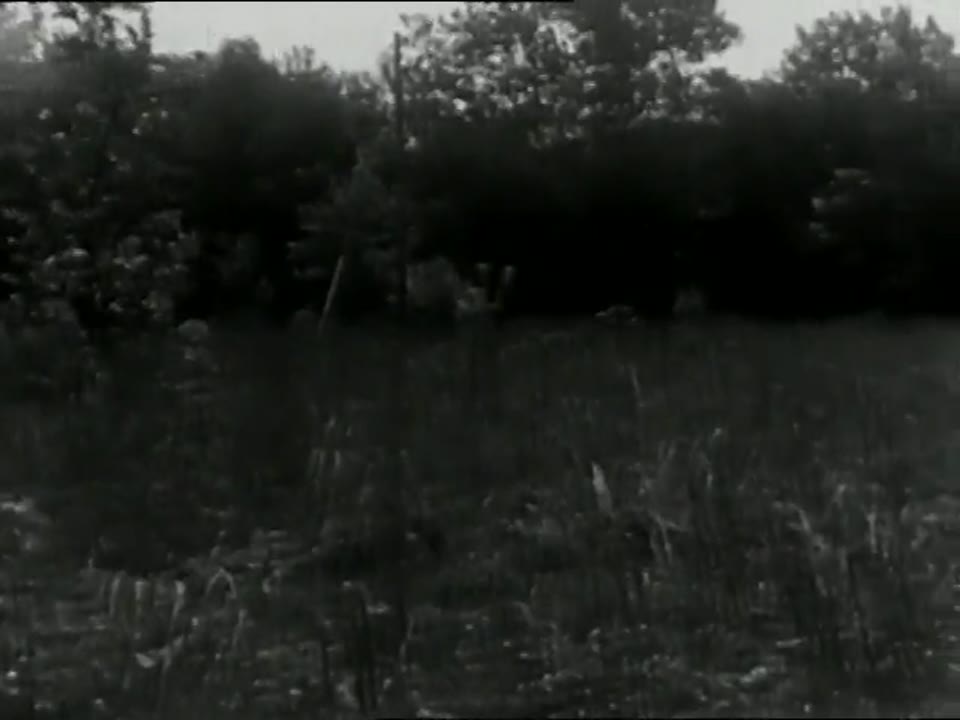 [Home Movie: House Construction]