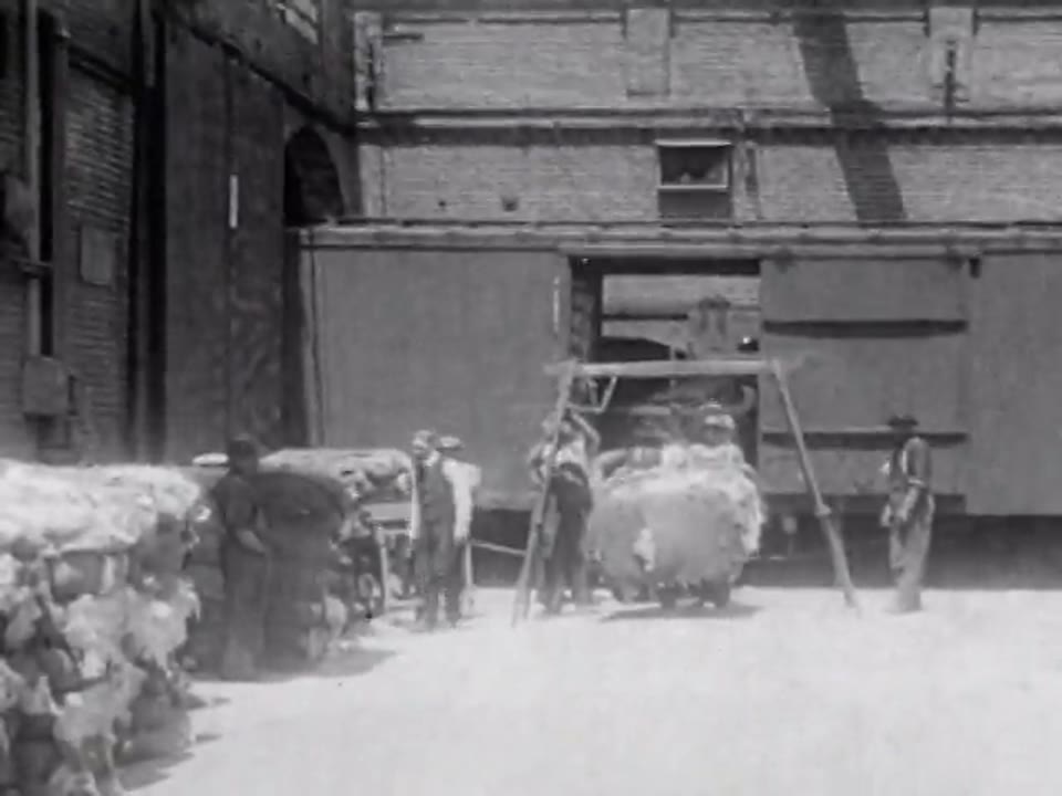 [California Cotton Mills]