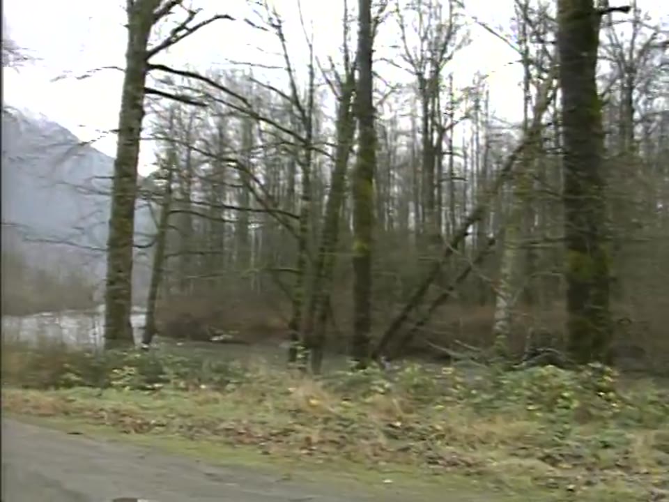 Twin Peaks Visual Soundtrack (1992)