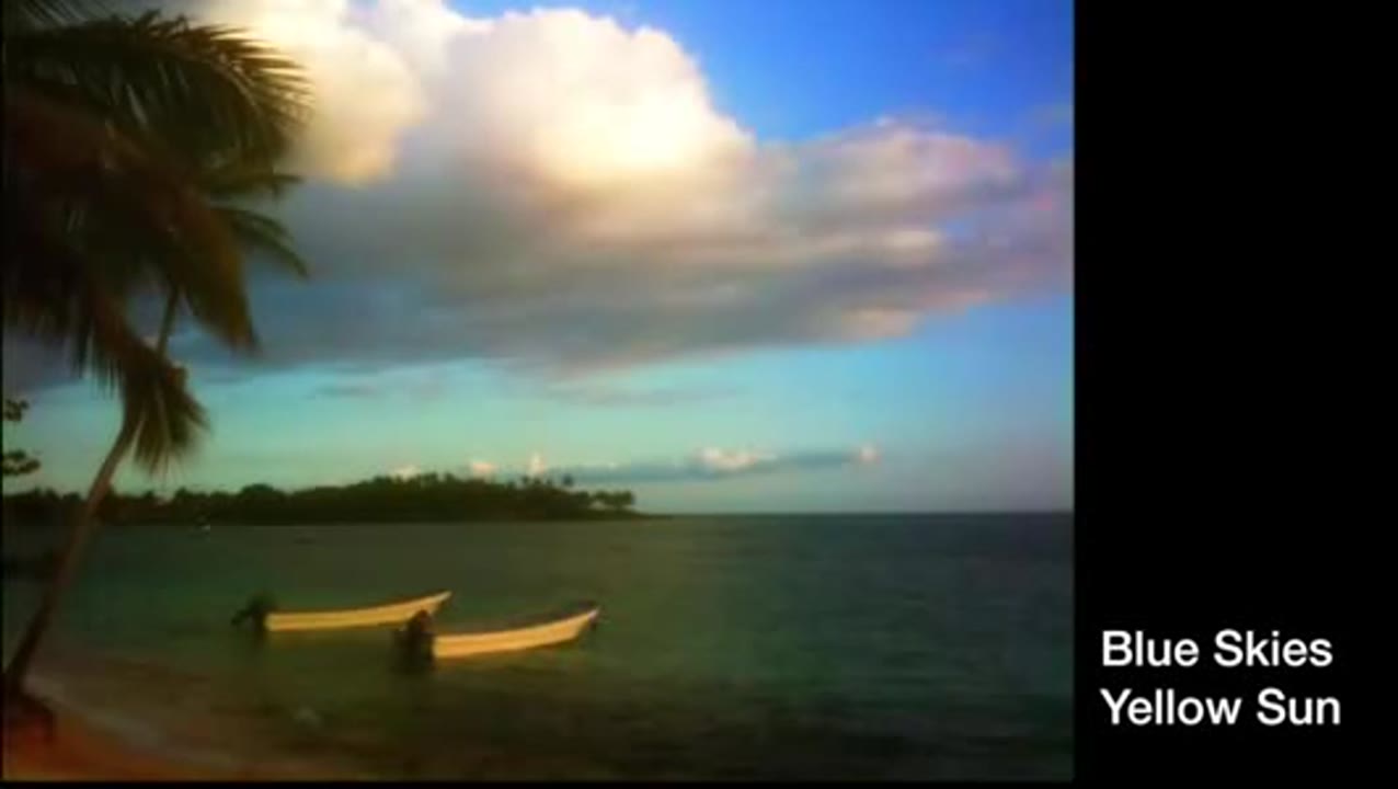 R. G. Dempster Blue Skies, Yellow Sun