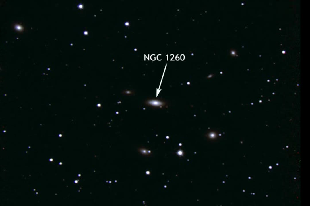 SN 2006gy Animations