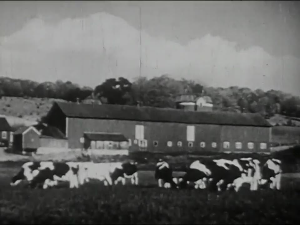 Story of Milk: Part One: Production, The